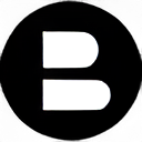 Basis logo